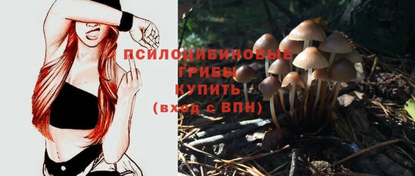 гашиш Кодинск