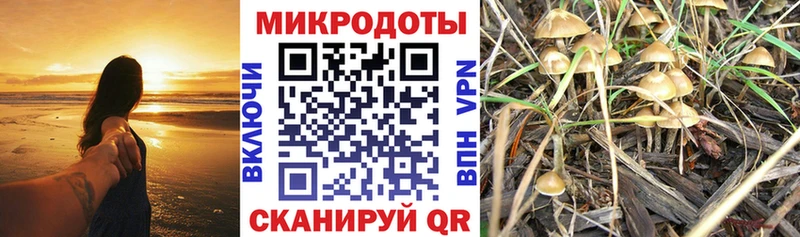 Псилоцибиновые грибы GOLDEN TEACHER  Юрга 
